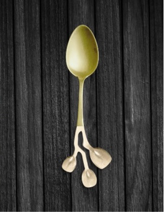 Lyptus Serving Spoon