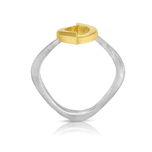 Convexo Aksi Ring in Yellow Gold and Silver